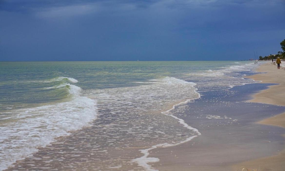 Guest Suite - Waterfront -Pool & Hot Tub- Walk To Beach Clearwater Beach Extérieur photo